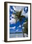 Bay De Ouameo, Ile Des Pins, New Caledonia, South Pacific-Michael Runkel-Framed Photographic Print