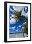 Bay De Ouameo, Ile Des Pins, New Caledonia, South Pacific-Michael Runkel-Framed Photographic Print