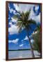Bay De Ouameo, Ile Des Pins, New Caledonia, South Pacific-Michael Runkel-Framed Photographic Print
