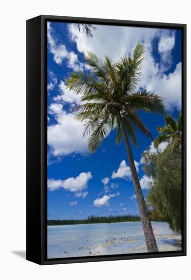 Bay De Ouameo, Ile Des Pins, New Caledonia, South Pacific-Michael Runkel-Framed Stretched Canvas