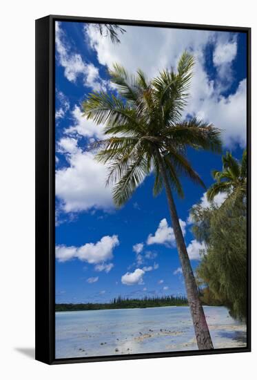 Bay De Ouameo, Ile Des Pins, New Caledonia, South Pacific-Michael Runkel-Framed Stretched Canvas