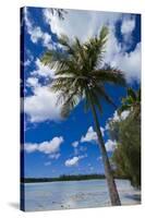 Bay De Ouameo, Ile Des Pins, New Caledonia, South Pacific-Michael Runkel-Stretched Canvas