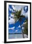 Bay De Ouameo, Ile Des Pins, New Caledonia, South Pacific-Michael Runkel-Framed Premium Photographic Print