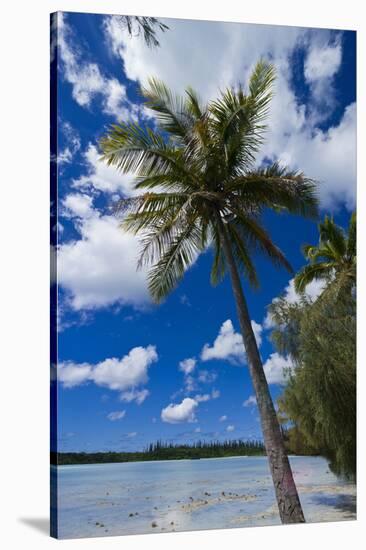 Bay De Ouameo, Ile Des Pins, New Caledonia, South Pacific-Michael Runkel-Stretched Canvas
