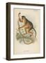 Bay Guereza-null-Framed Giclee Print