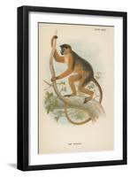 Bay Guereza-null-Framed Giclee Print