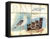 Bay Gull-Mary Escobedo-Framed Stretched Canvas