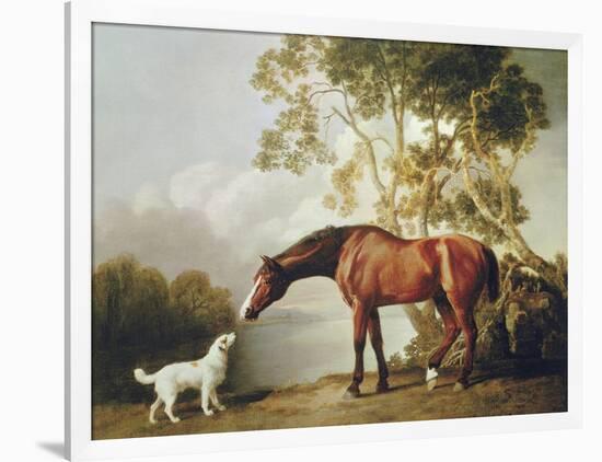 Bay Horse and White Dog-George Stubbs-Framed Art Print