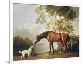 Bay Horse and White Dog-George Stubbs-Framed Art Print