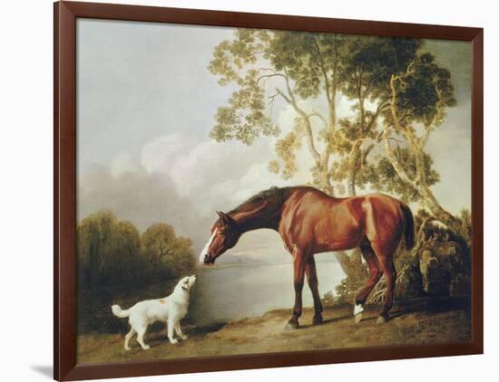 Bay Horse and White Dog-George Stubbs-Framed Art Print