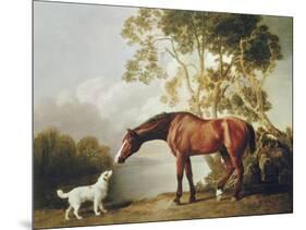 Bay Horse and White Dog-George Stubbs-Mounted Art Print