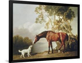 Bay Horse and White Dog-George Stubbs-Framed Art Print