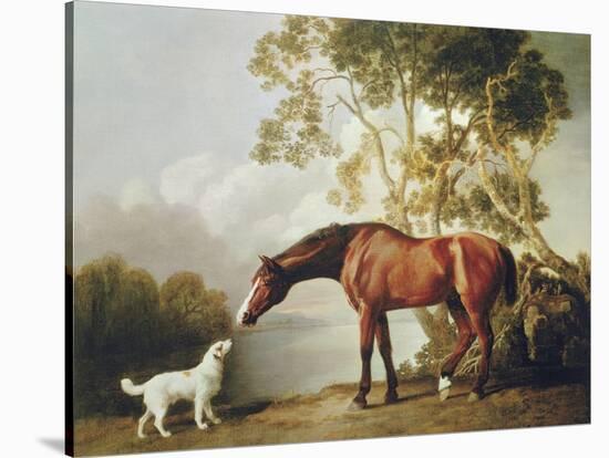Bay Horse and White Dog-George Stubbs-Stretched Canvas