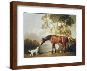 Bay Horse and White Dog-George Stubbs-Framed Art Print