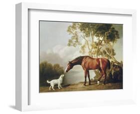 Bay Horse and White Dog-George Stubbs-Framed Art Print