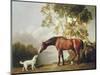 Bay Horse and White Dog-George Stubbs-Mounted Art Print