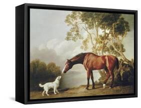 Bay Horse and White Dog-George Stubbs-Framed Stretched Canvas