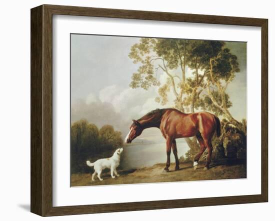 Bay Horse and White Dog-George Stubbs-Framed Art Print