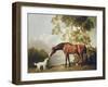 Bay Horse and White Dog-George Stubbs-Framed Art Print