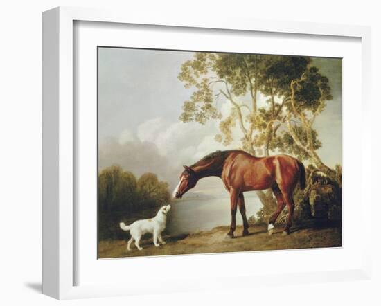 Bay Horse and White Dog-George Stubbs-Framed Art Print