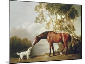 Bay Horse and White Dog-George Stubbs-Mounted Art Print