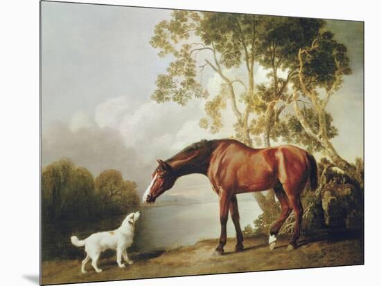 Bay Horse and White Dog-George Stubbs-Mounted Premium Giclee Print