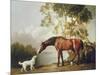 Bay Horse and White Dog-George Stubbs-Mounted Premium Giclee Print