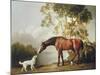 Bay Horse and White Dog-George Stubbs-Mounted Premium Giclee Print