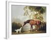 Bay Horse and White Dog-George Stubbs-Framed Art Print