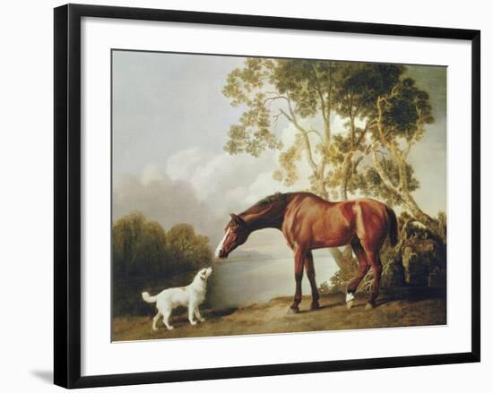 Bay Horse and White Dog-George Stubbs-Framed Art Print