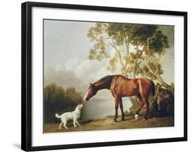 Bay Horse and White Dog-George Stubbs-Framed Art Print