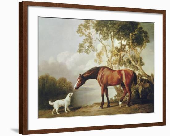 Bay Horse and White Dog-George Stubbs-Framed Art Print