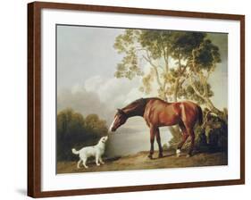 Bay Horse and White Dog-George Stubbs-Framed Art Print