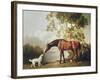 Bay Horse and White Dog-George Stubbs-Framed Art Print