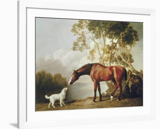 Bay Horse and White Dog-George Stubbs-Framed Art Print