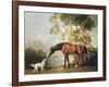 Bay Horse and White Dog-George Stubbs-Framed Art Print