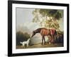 Bay Horse and White Dog-George Stubbs-Framed Art Print