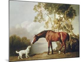 Bay Horse and White Dog-George Stubbs-Mounted Art Print