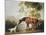 Bay Horse and White Dog-George Stubbs-Mounted Art Print