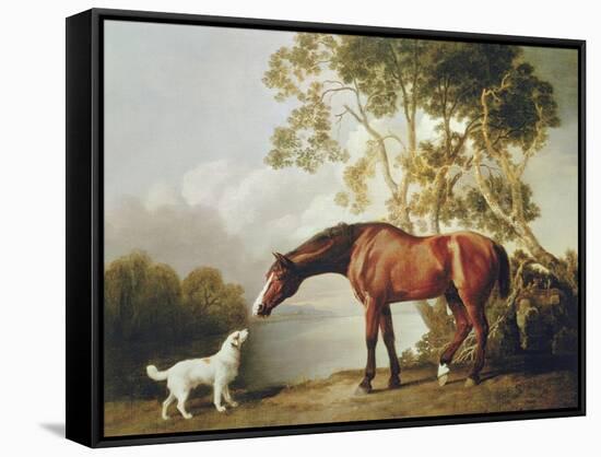 Bay Horse and White Dog-George Stubbs-Framed Stretched Canvas