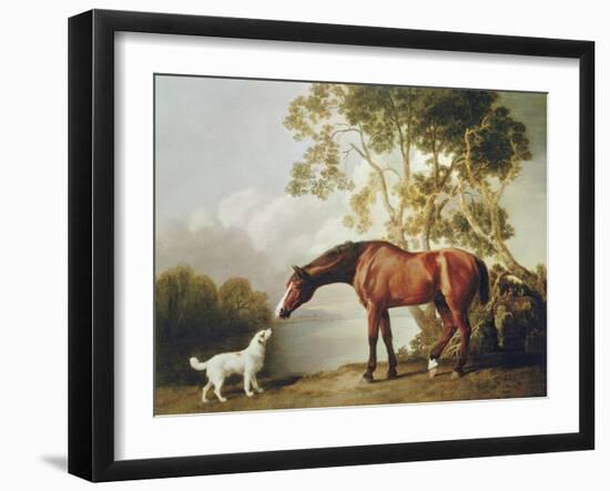 Bay Horse and White Dog-George Stubbs-Framed Premium Giclee Print