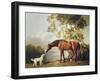 Bay Horse and White Dog-George Stubbs-Framed Premium Giclee Print