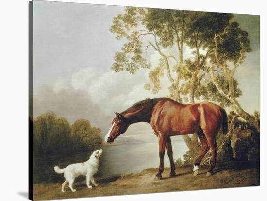 Bay Horse and White Dog-George Stubbs-Stretched Canvas