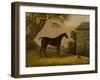 Bay Hunter and a terrior outside a stable, 1805-Edwin W. Cooper-Framed Giclee Print