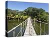 Bay Islands, Roatan, Gumba Limba Park, Honduras-Jane Sweeney-Stretched Canvas