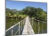 Bay Islands, Roatan, Gumba Limba Park, Honduras-Jane Sweeney-Mounted Photographic Print