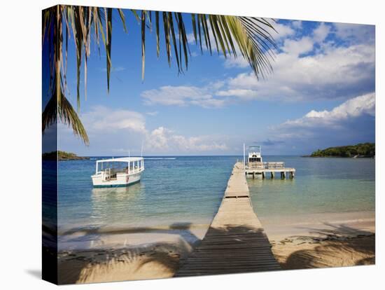 Bay Islands, Roatan, Half Moon Bay, Honduras-Jane Sweeney-Stretched Canvas