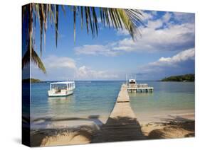 Bay Islands, Roatan, Half Moon Bay, Honduras-Jane Sweeney-Stretched Canvas