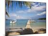 Bay Islands, Roatan, Half Moon Bay, Honduras-Jane Sweeney-Mounted Photographic Print