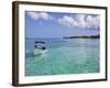 Bay Islands, Roatan, West Bay, Honduras-Jane Sweeney-Framed Photographic Print